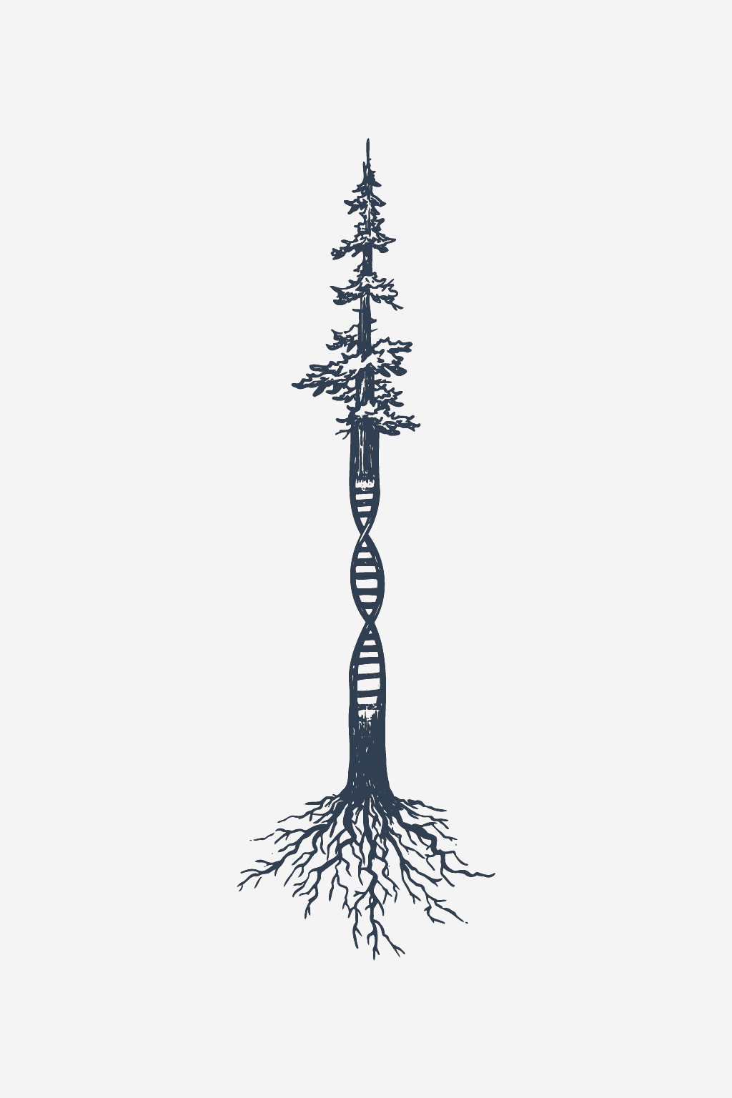 Evolúció