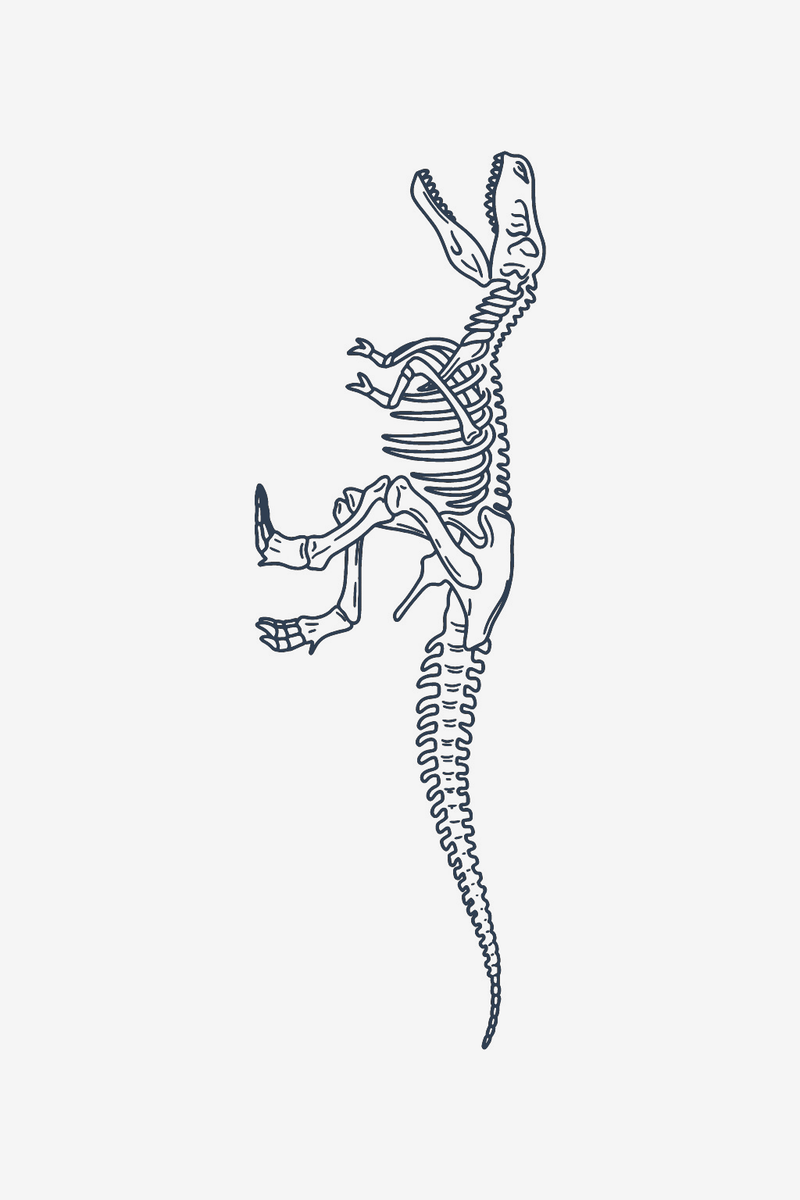 T-Rex csontváz