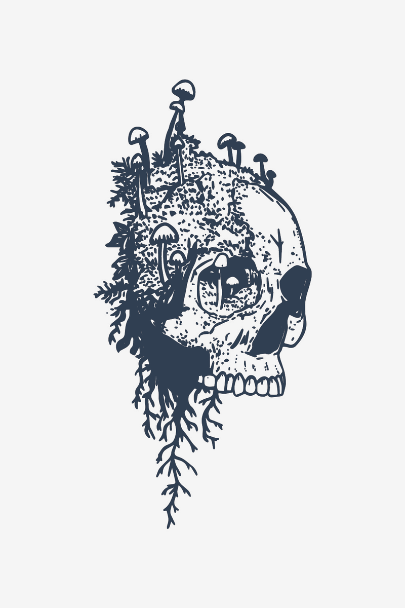 Koponya
