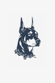 Dobermann