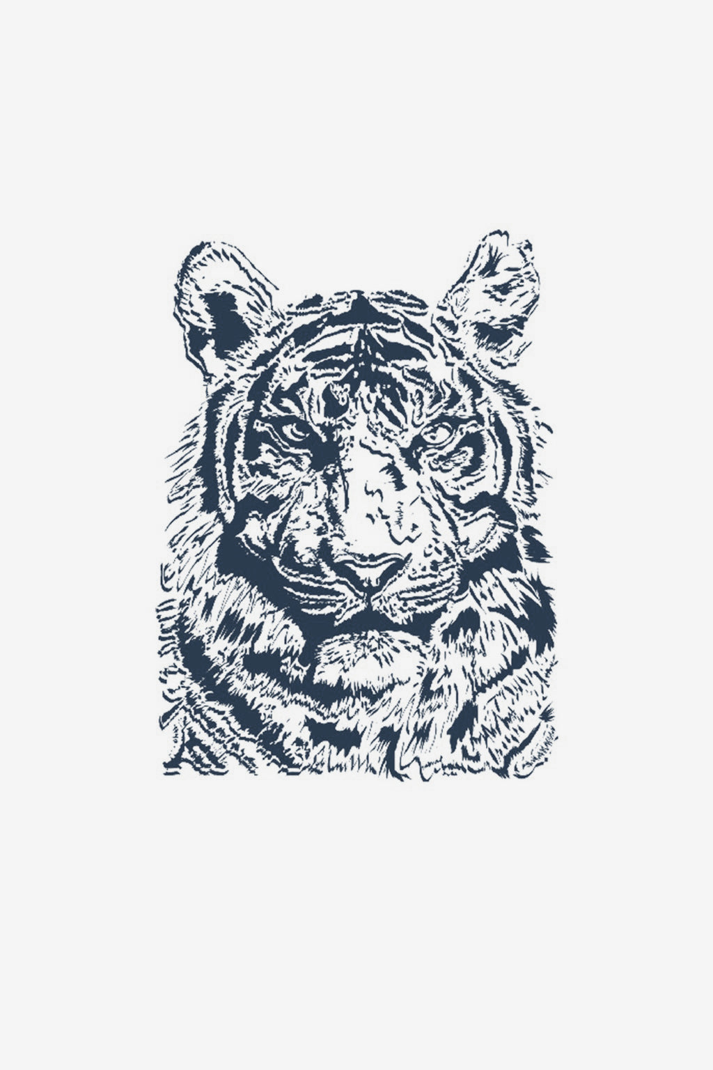 Tigris